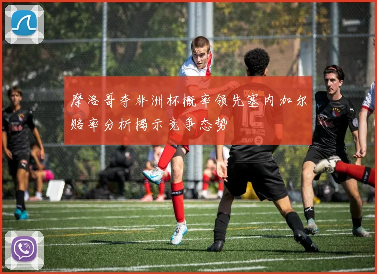 摩洛哥夺非洲杯概率领先塞内加尔赔率分析揭示竞争态势