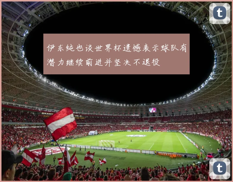 伊东纯也谈世界杯遗憾表示球队有潜力继续前进并坚决不退役